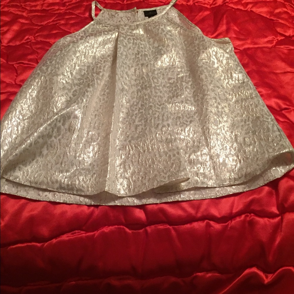 Sleeveless Shimmery Top